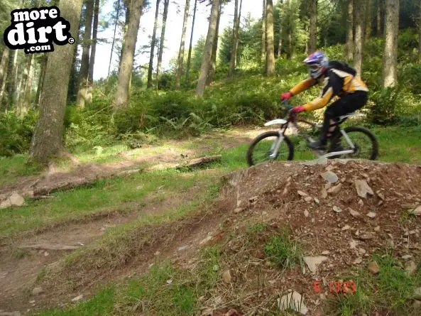 Ae Downhill Trail