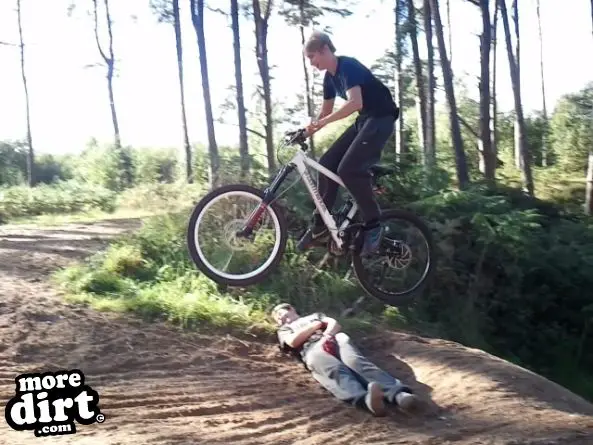 Lime Burner Trail - Thetford Forest