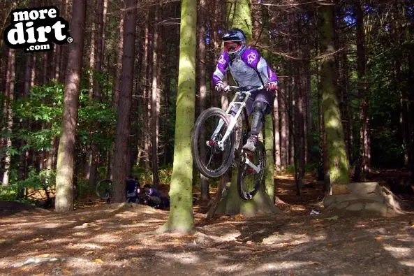 Wharncliffe Woods - DH Trails