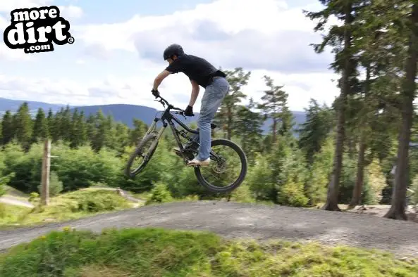 Freeride Park - Glentress