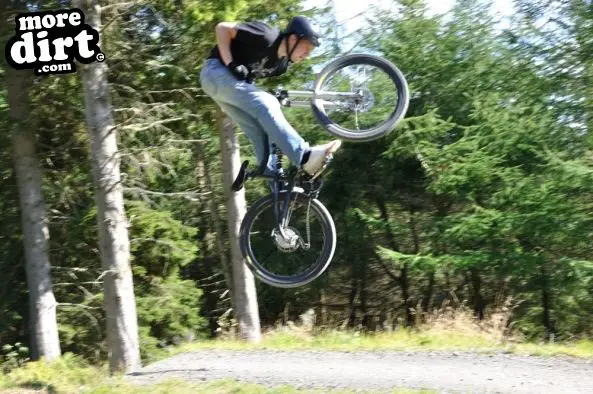 Freeride Park - Glentress