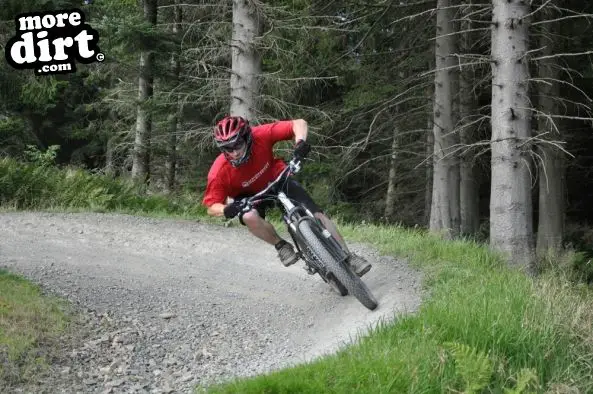 Freeride Park - Glentress