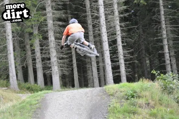 Freeride Park - Glentress