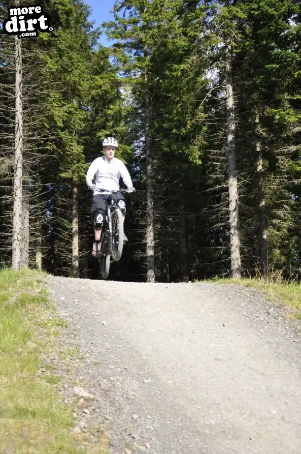 Freeride Park - Glentress