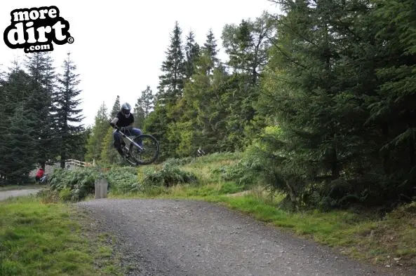 Freeride Park - Glentress