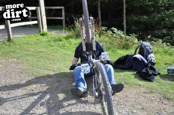 Freeride Park - Glentress