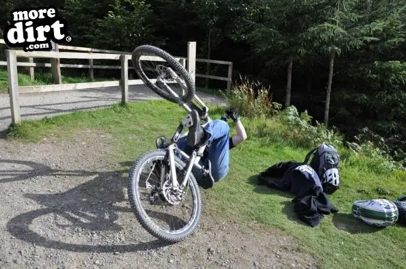 Freeride Park - Glentress