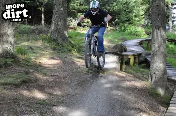 Freeride Park - Glentress