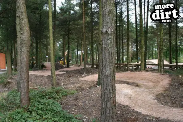 Haldon Forest Skills Area & Pump Track