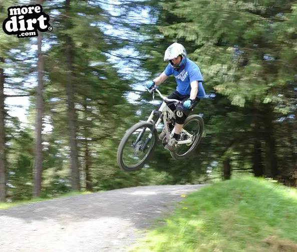 Freeride Park - Glentress