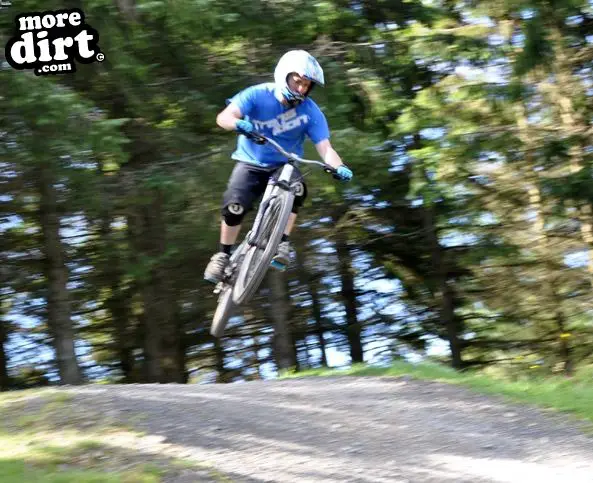 Freeride Park - Glentress