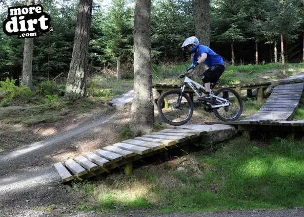 Freeride Park - Glentress