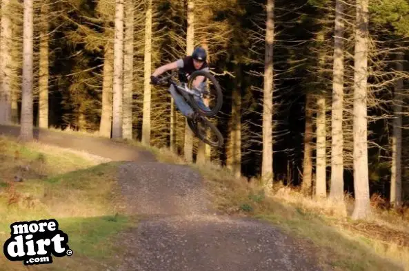 Freeride Park - Glentress