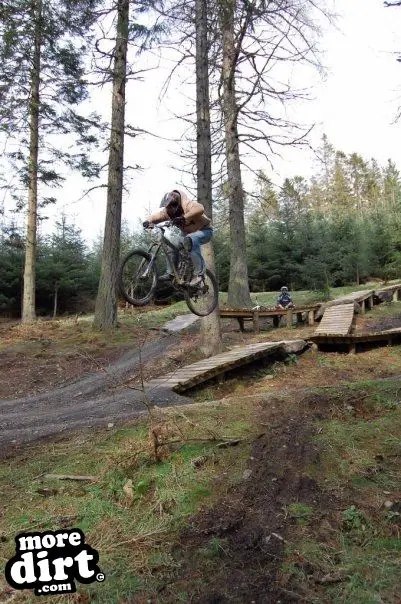 Freeride Park - Glentress