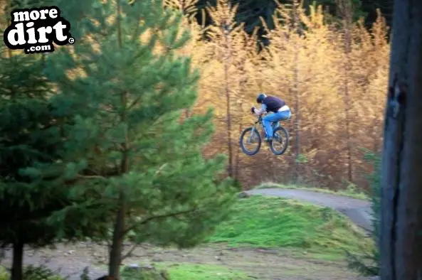 Freeride Park - Glentress