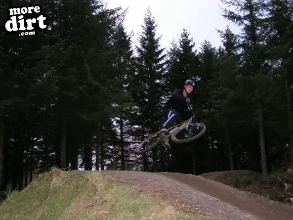 Freeride Park - Glentress