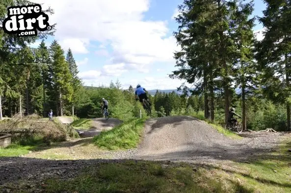 Freeride Park - Glentress