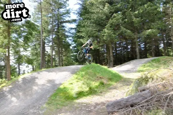 Freeride Park - Glentress