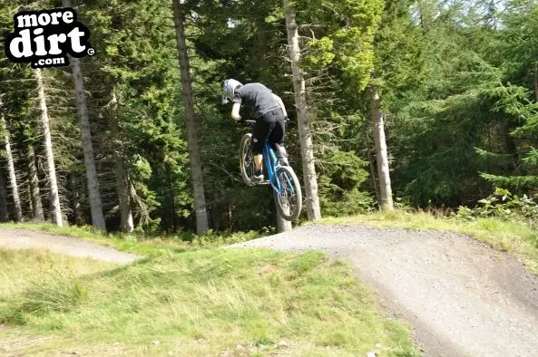 Freeride Park - Glentress