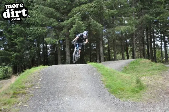 Freeride Park - Glentress