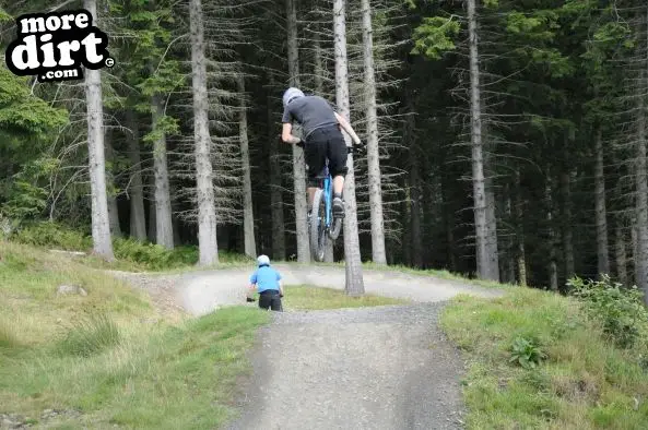 Freeride Park - Glentress