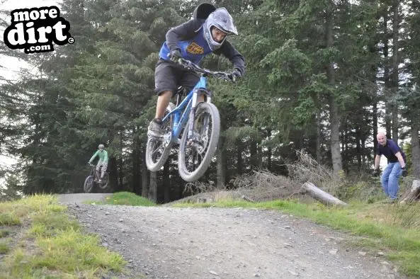 Freeride Park - Glentress