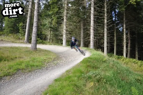 Freeride Park - Glentress