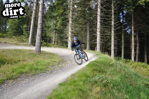 Freeride Park - Glentress