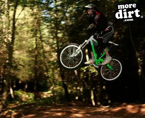 Yettington Freeride