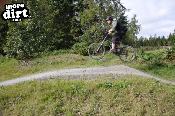 Freeride Park - Glentress