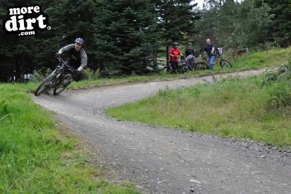 Freeride Park - Glentress