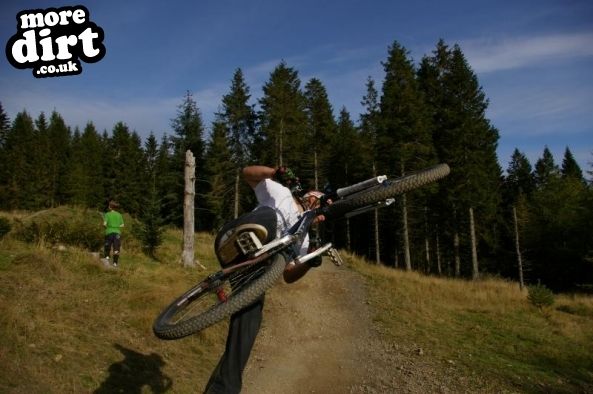 Freeride Park - Glentress