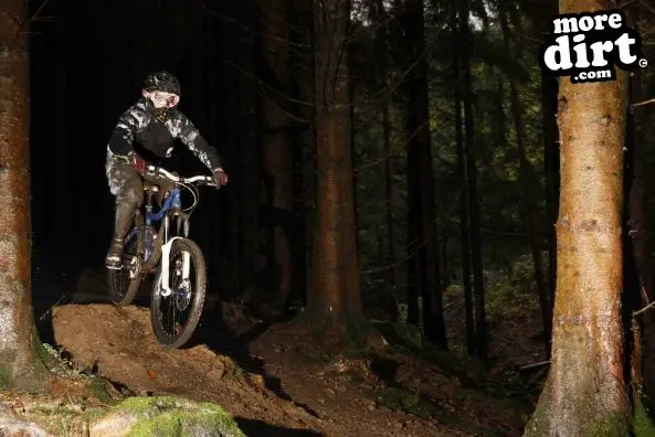 Downhill Trails - Forest of Dean