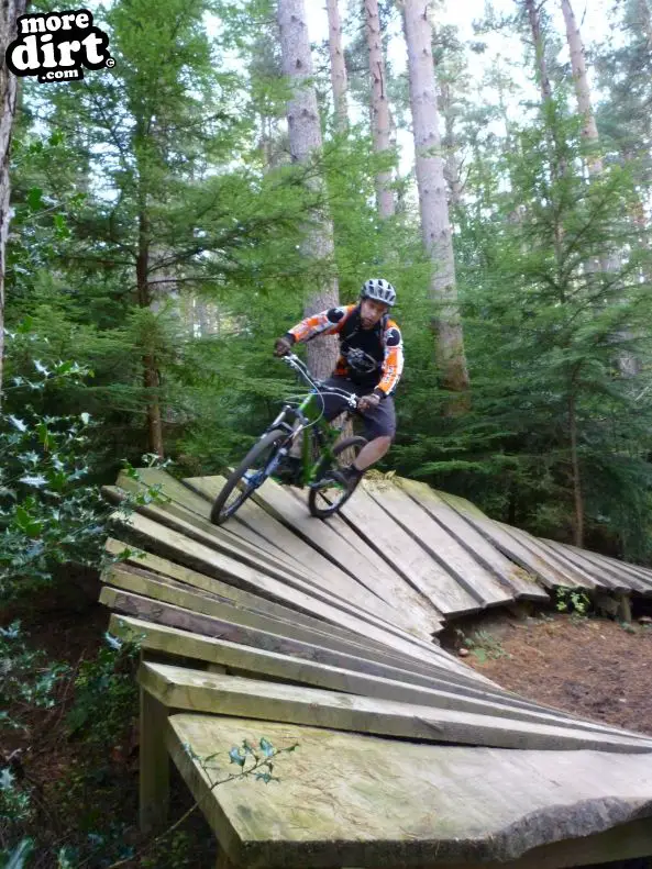 Hamsterley Forest Mountain Bike Trails