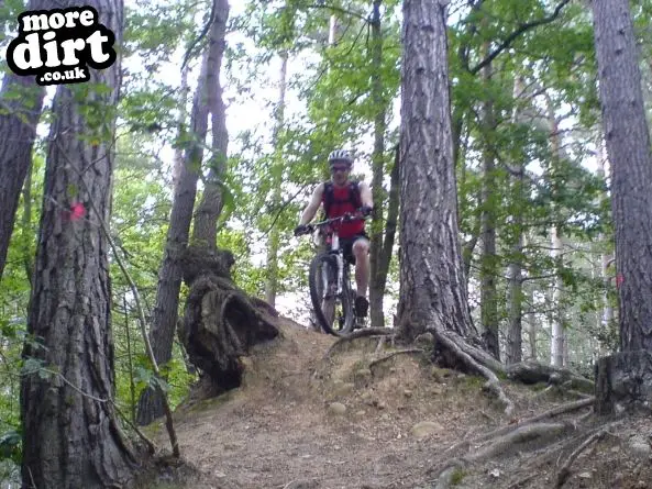 Powerline Trail - Chopwell