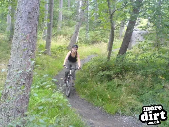 Powerline Trail - Chopwell