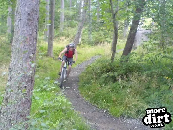 Powerline Trail - Chopwell