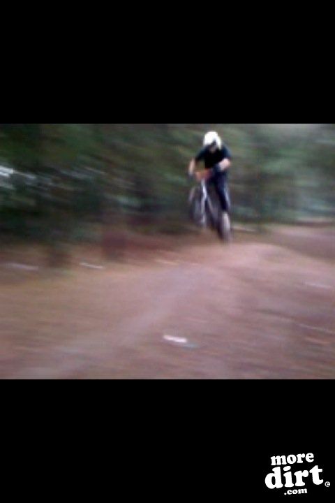 Sherwood Pines Bike Park