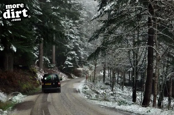 Freeride Park - Glentress