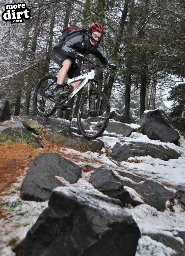 Freeride Park - Glentress