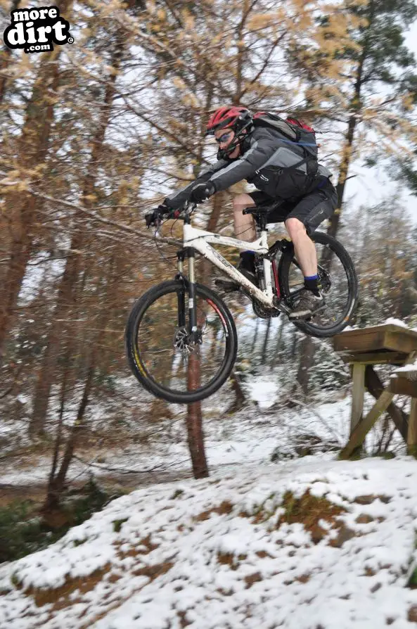 Freeride Park - Glentress