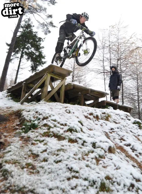 Freeride Park - Glentress