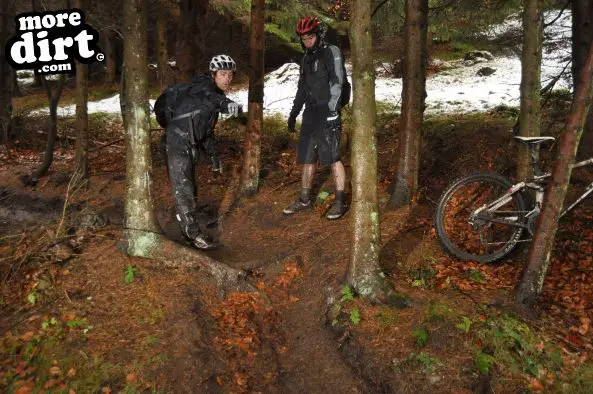 Freeride Park - Glentress