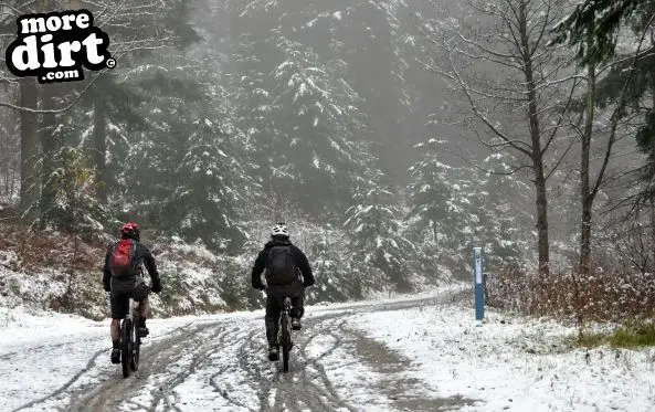 Freeride Park - Glentress