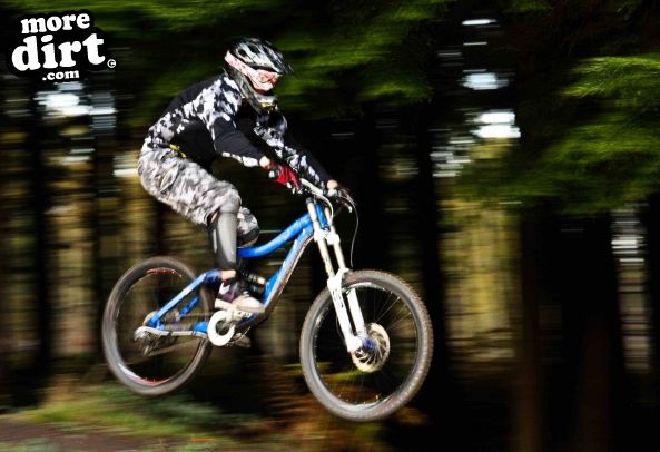 Downhill Trails - Forest of Dean