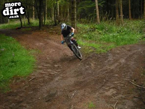 Wentwood Forest Downhill Trail