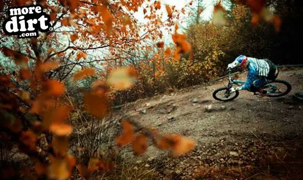 Nevis Range Downhill Track