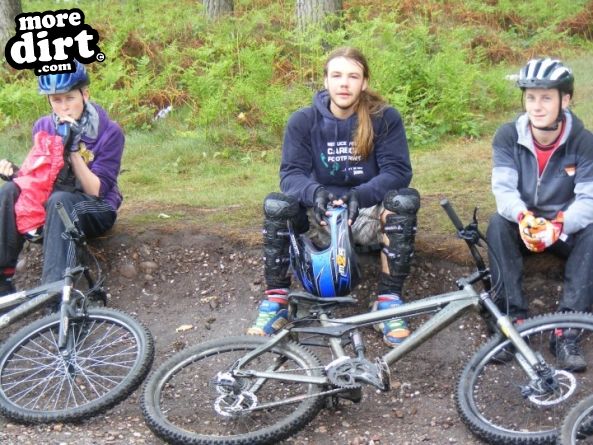 Follow the Dog Trail - Cannock Chase