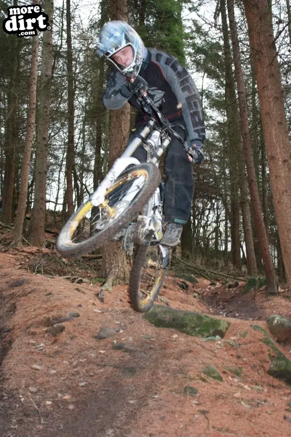 Downhill Trails - Forest of Dean