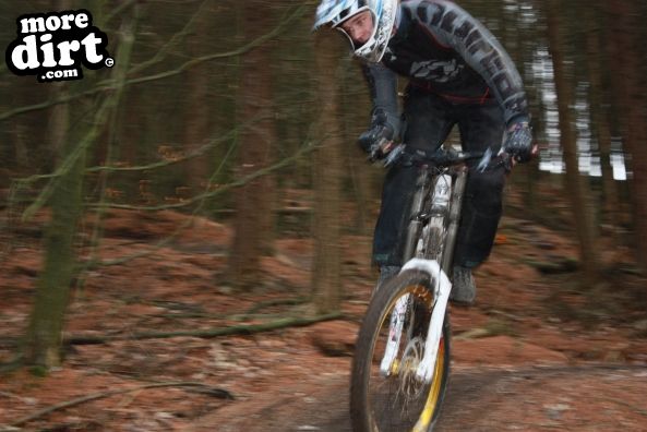 Downhill Trails - Forest of Dean